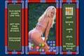 Topless Tetris