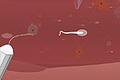 You Da Sperm